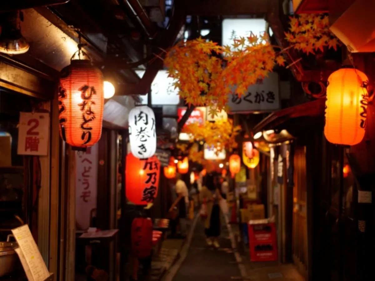 Apartament Laffitte Tokyo West Japonia